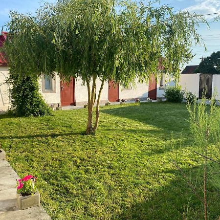 Apartament Casa David Corbu Zewnętrze zdjęcie