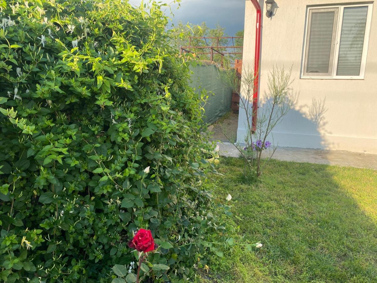 Apartament Casa David Corbu Zewnętrze zdjęcie
