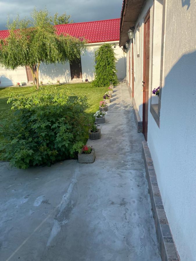 Apartament Casa David Corbu Zewnętrze zdjęcie