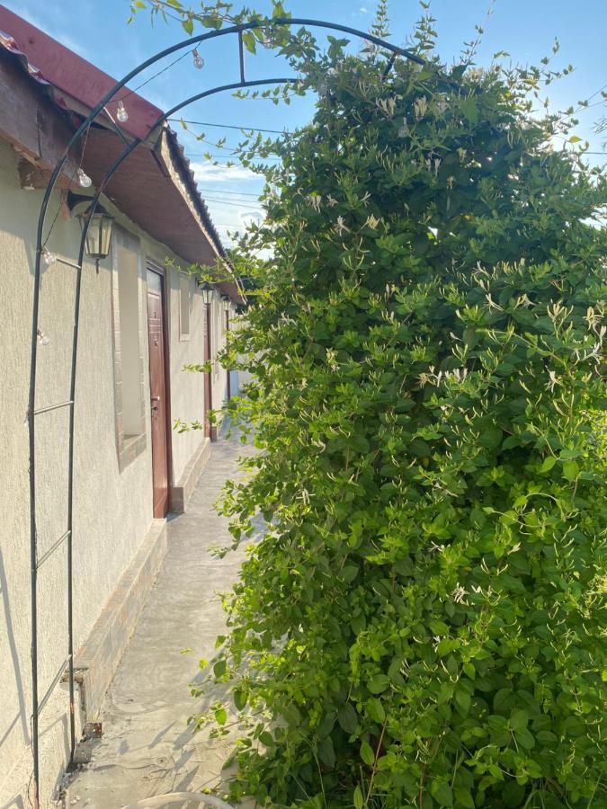 Apartament Casa David Corbu Zewnętrze zdjęcie