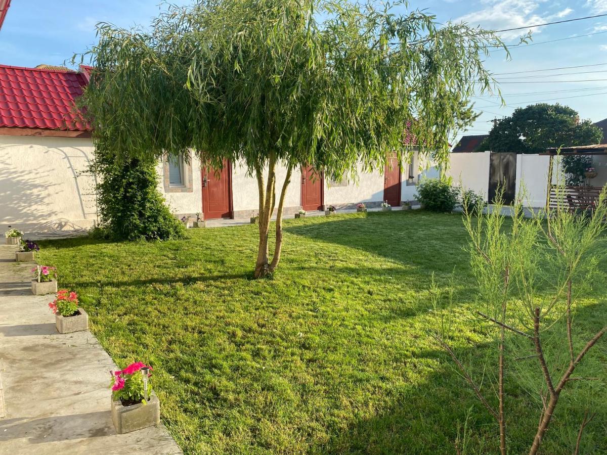 Apartament Casa David Corbu Zewnętrze zdjęcie