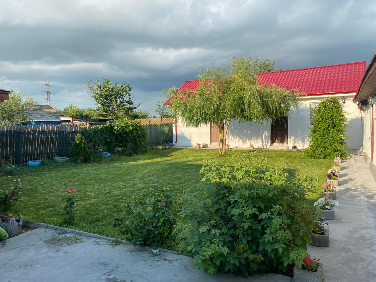 Apartament Casa David Corbu Zewnętrze zdjęcie