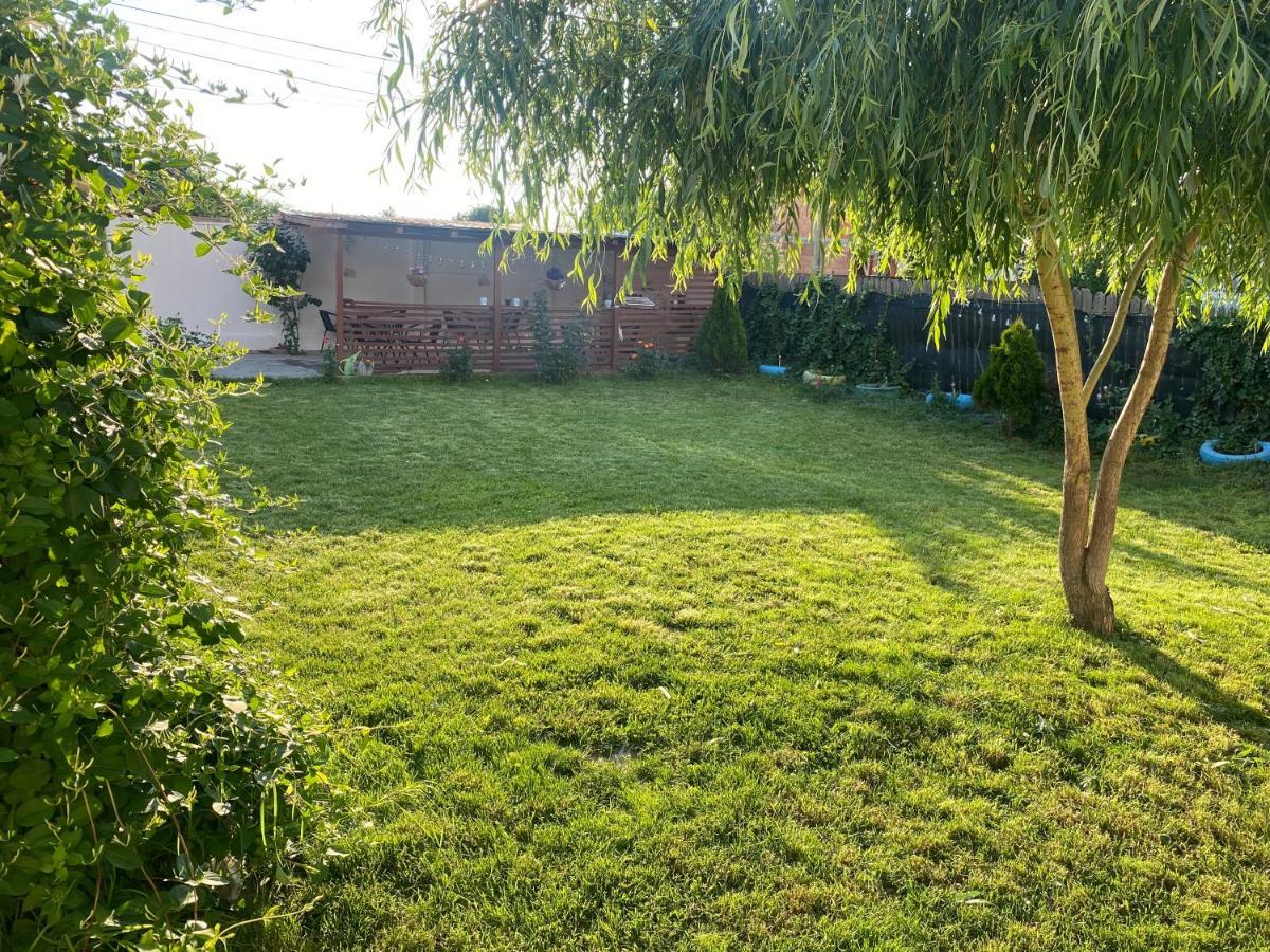 Apartament Casa David Corbu Zewnętrze zdjęcie