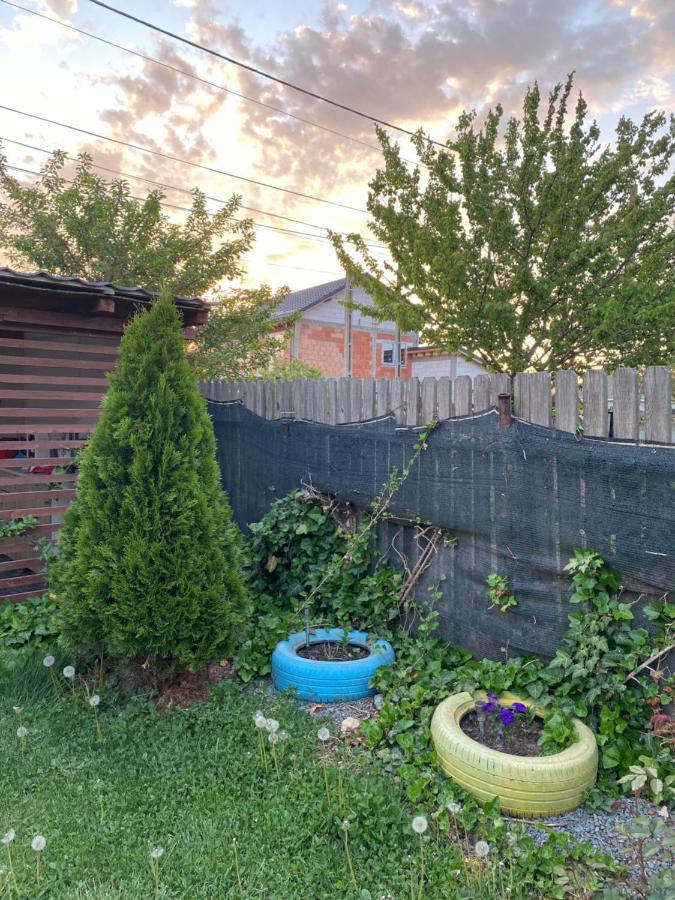 Apartament Casa David Corbu Zewnętrze zdjęcie